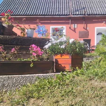 Villa Ubytovani U Machalu Leskovec Nad Moravici Exterior foto